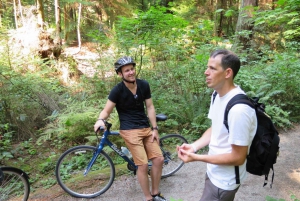 Stanley Park & Downtown - Vancouver Bike Tours