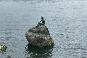 Stanley Park Highlights 2.5 Hour Walking Tour