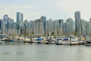 Stanley Park Highlights 2.5 Hour Walking Tour