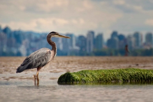 Stanley Park Self Guided Bike Tour