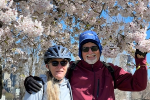 The Ultimate Stanley Park E-Bike Tour