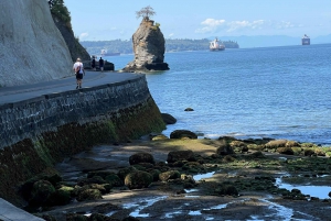 The Ultimate Stanley Park E-Bike Tour