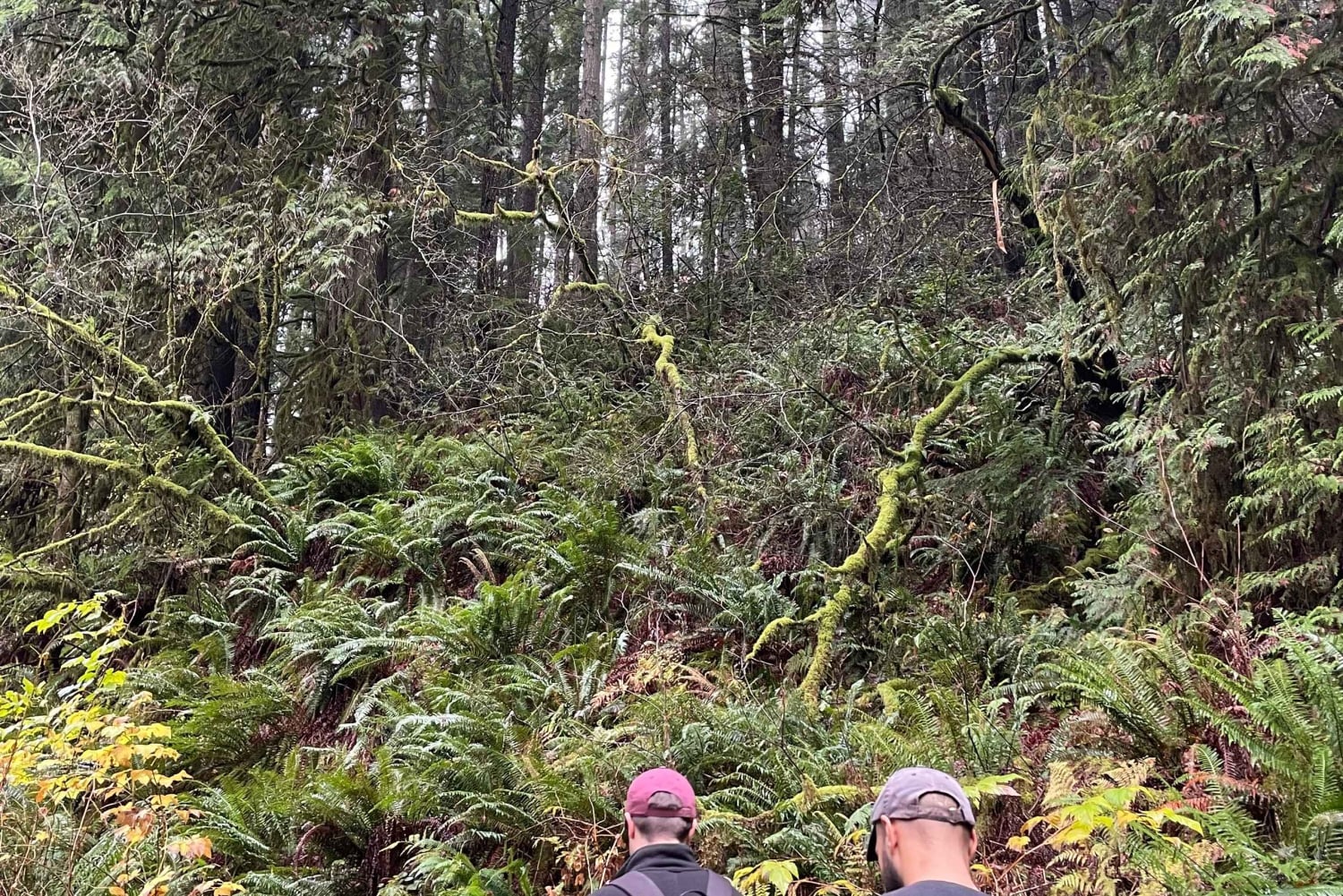 Vancouver Summit Walk