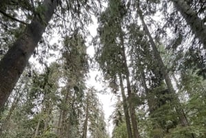 Vancouver Summit Walk