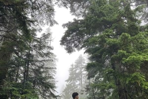 Vancouver Summit Walk