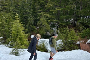 Vancouver Summit Walk