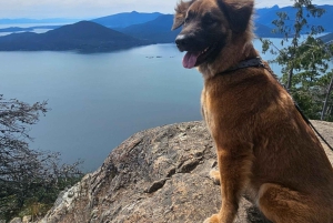 Viagem de 1 dia para caminhada em Tunnel Bluffs - Vancouver
