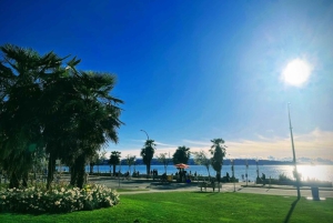 Vancouver: 2-timers privat bytur