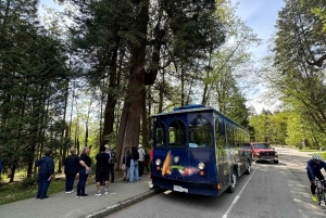 Vancouver: 24 or 48-Hour Hop-On Hop-Off Trolley Tour Pass