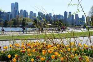 Vancouver: 24 or 48-Hour Hop-On Hop-Off Trolley Tour Pass