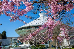 Vancouver: 24 or 48-Hour Hop-On Hop-Off Trolley Tour Pass