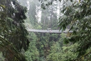 4Tour:Capilano Suspension Br/CAR/Small GROUP+Lake+Dam+Hacher