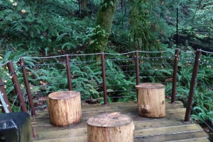 4Tour:Capilano Suspension Br/CAR/Small GROUP+Lake+Dam+Hacher