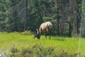 Vancouver: 6 Day Canadian Rockies Explorer Private Tour