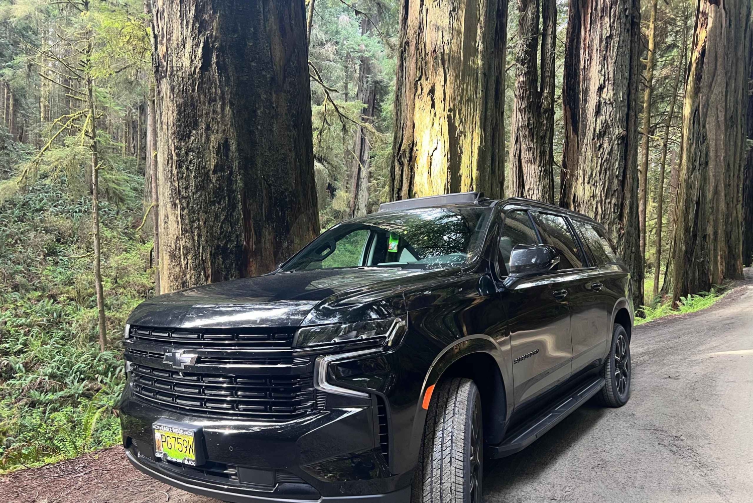 Vancouverin lentokenttä – Bellinghamin lentokenttä (esikaupunkialue)