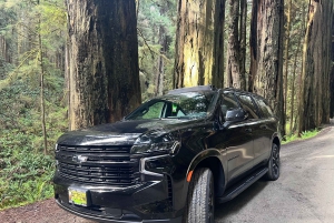 Vancouverin lentokenttä – Bellinghamin lentokenttä (esikaupunkialue)