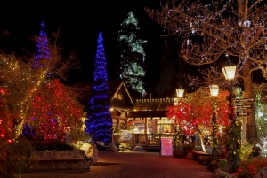 Vancouver and Capilano Suspension Bridge Canyon Lights