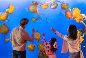 Vancouver Aquarium: Skip-the-Line Ticket