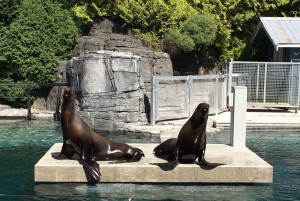 Vancouver Aquarium: Skip-the-Line Ticket