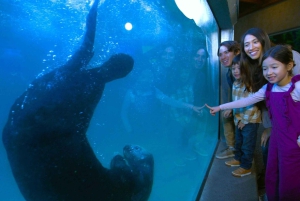 Vancouver Aquarium: Skip-the-Line Ticket