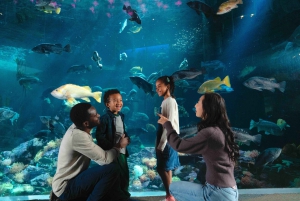 Vancouver Aquarium: Skip-the-Line Ticket