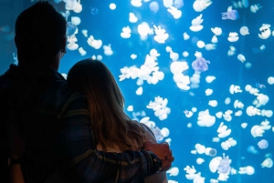 Vancouver Aquarium: Skip-the-Line Ticket