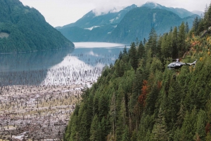 Vancouver: BC Backcountry Helicopter Tour