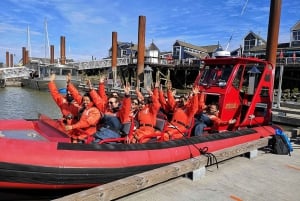 Vancouver, BC: Tour di osservazione delle balene in piccolo zodiaco con guida