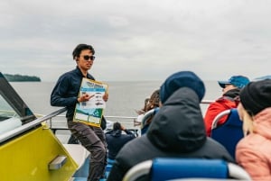 Vancouver, BC: Whale Watching Tour