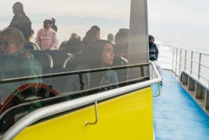 Vancouver, BC: Whale Watching Tour