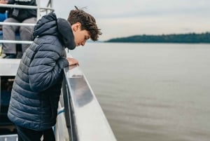 Vancouver, BC: Whale Watching Tour