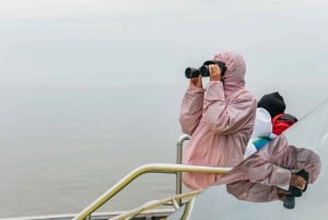 Vancouver, BC: Whale Watching Tour