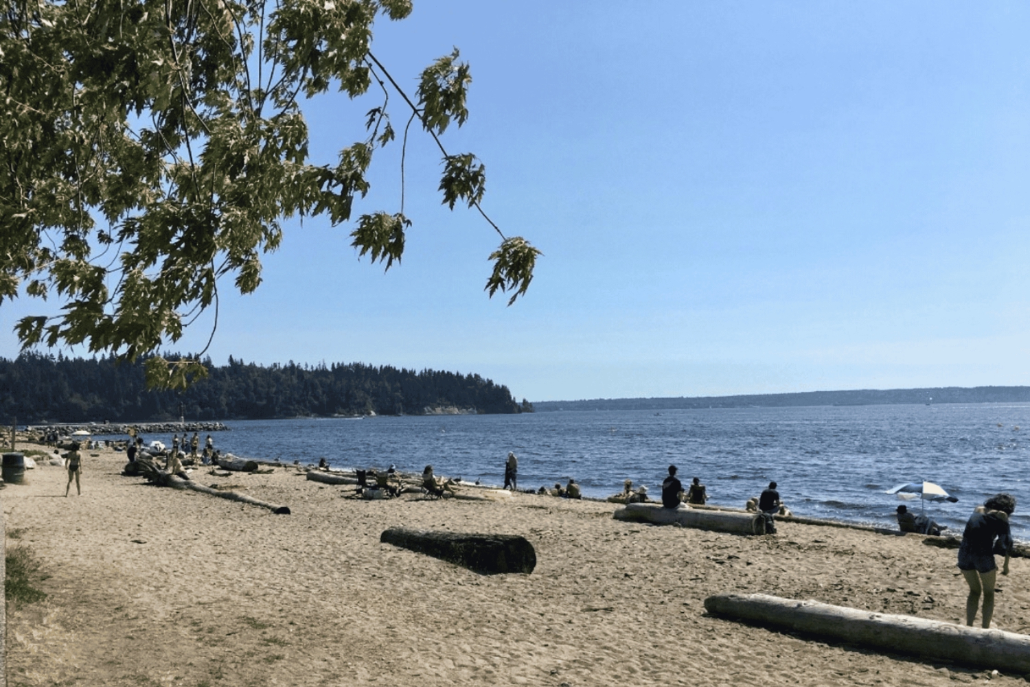 Visita guiada privada a las playas de Vancouver: del mar a la ciudad