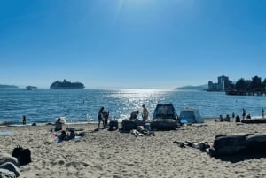 Vancouver Beaches Private Guided Tour - Sea to City