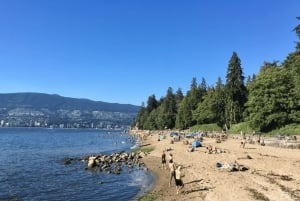 Vancouver Beaches Private Guided Tour - Sea to City