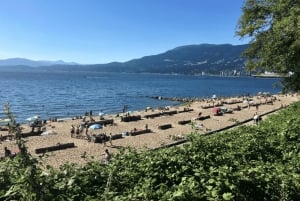 Vancouver Beaches Private Guided Tour - Sea to City