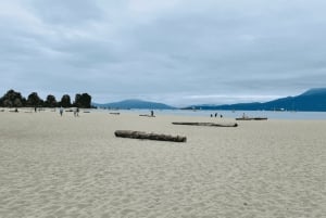 Vancouver Beaches Private Guided Tour - Sea to City