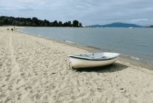 Vancouver Beaches Private Guided Tour - Sea to City
