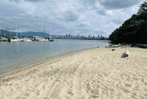 Vancouver Beaches Private Guided Tour - Sea to City