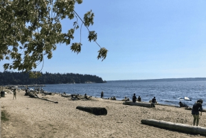 Visita guiada privada a las playas de Vancouver: del mar a la ciudad