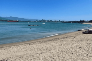 Visita guiada privada a las playas de Vancouver: del mar a la ciudad