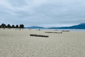 Visita guiada privada a las playas de Vancouver: del mar a la ciudad