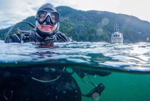 Vancouver: Boat Dive for Certified Divers