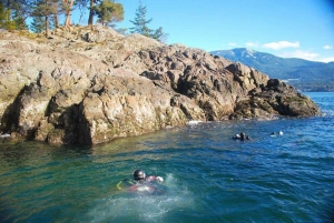 Vancouver: Boat Dive for Certified Divers