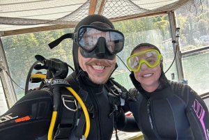 Vancouver: Boat Dive for Certified Divers