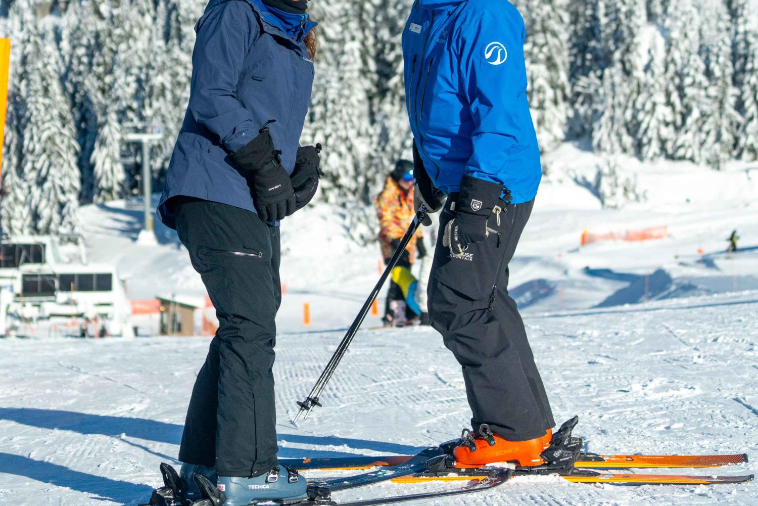 Vancouver: Capilano Bridge, Grouse Mountain & Aquabus Tour