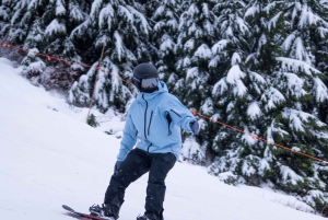 Vancouver: Capilano Bridge, Grouse Mountain och Aquabus-tur