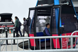 Vancouver: Capilano Bridge, Grouse Mountain och Aquabus-tur