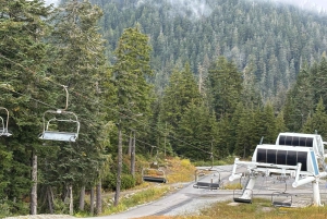 Vancouver: Capilano Bridge, Grouse Mountain och Aquabus-tur