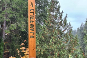 Vancouver: Capilano Bridge, Grouse Mountain och Aquabus-tur